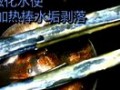 電熱水器使用效果 (1389播放)