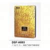 熱水器DSF-H003