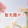 2011第六屆廣州國(guó)際采購(gòu)博覽會(huì)——電子、家電、燈飾廣交會(huì)同期展
