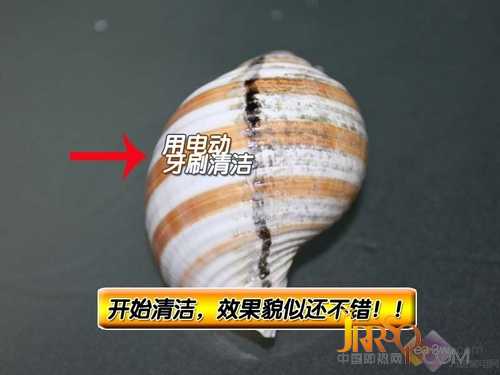 帥哥敗家拆解！