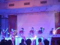 佳源舉行2012年全國代理商表彰晚會 (5)