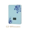 CZ-911智尚實(shí)惠系列即熱式電熱水器