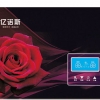 新貴族 YNS-803