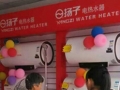 全民瘋搶，揚子電熱水器開業(yè)鉅惠大獲成功 (3)